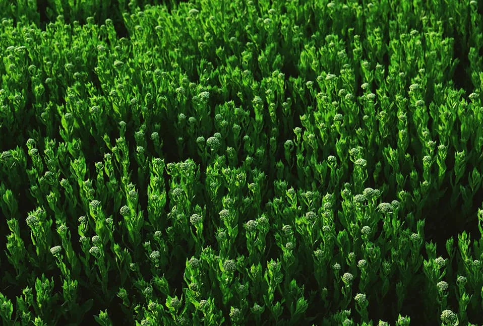 Защита окружающей среды