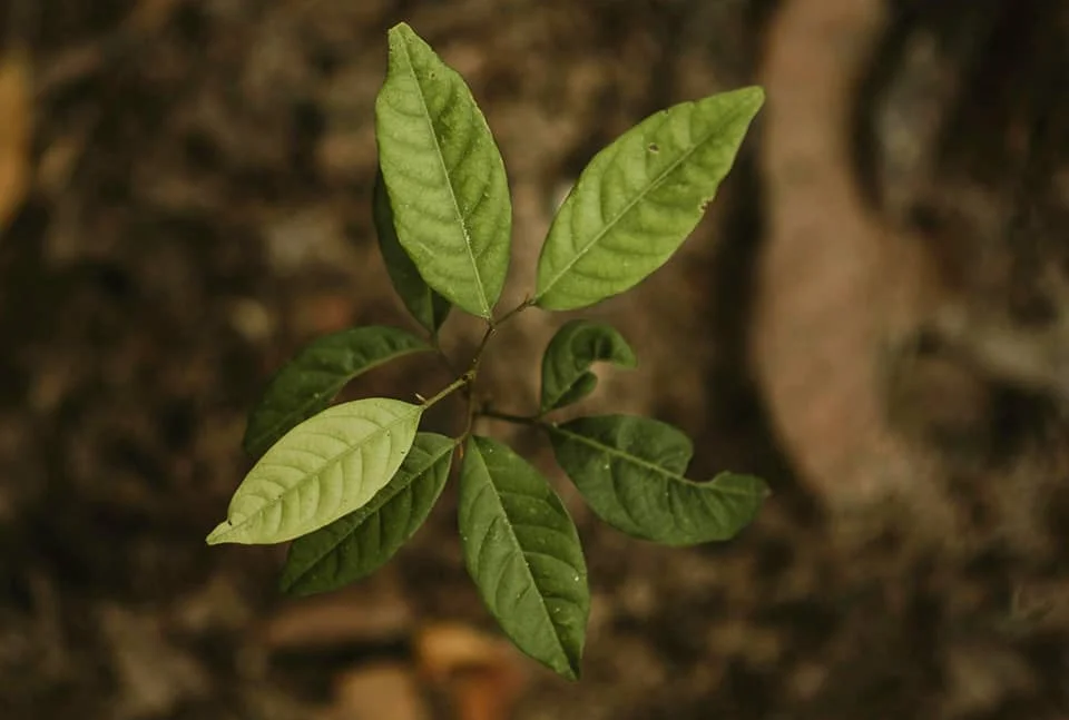 Социальная ответственность